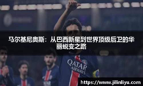 中欧体育网址