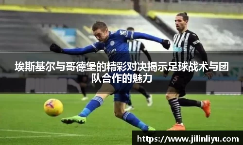 中欧体育官网