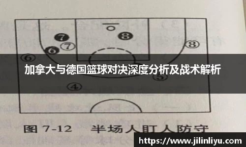 中欧体育官网